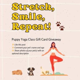 flyer with woman stretching